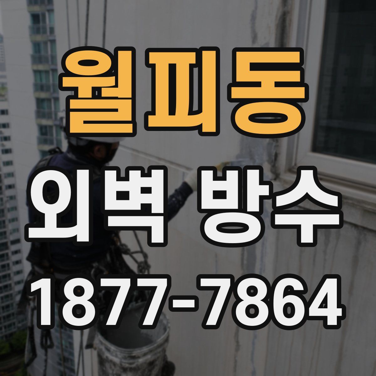 월피동 외벽 방수