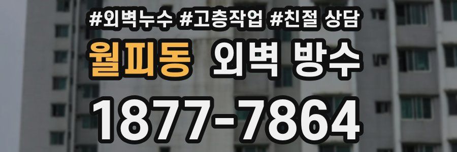 월피동 외벽 방수