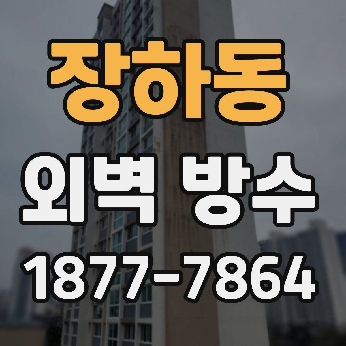 장하동 외벽 방수