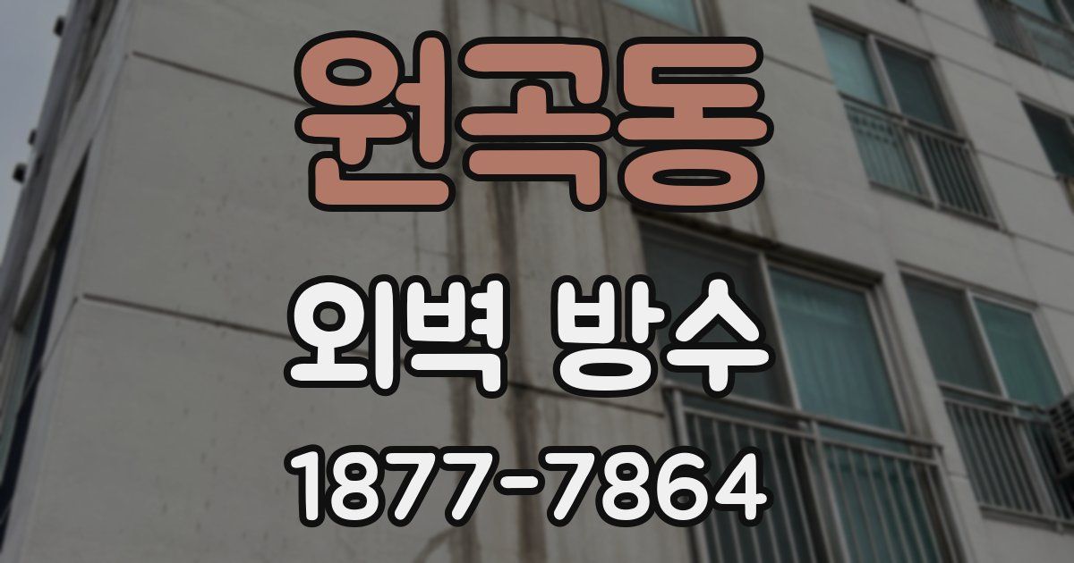 원곡동 외벽 방수