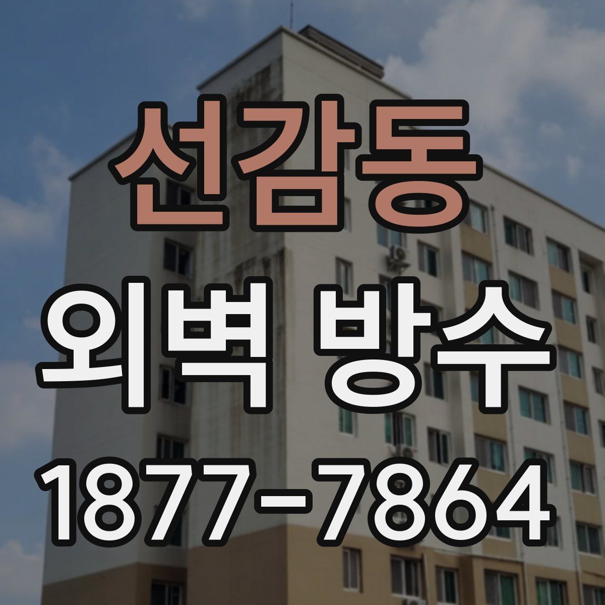 선감동 외벽 방수