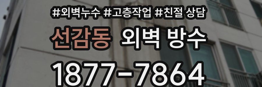 선감동 외벽 방수