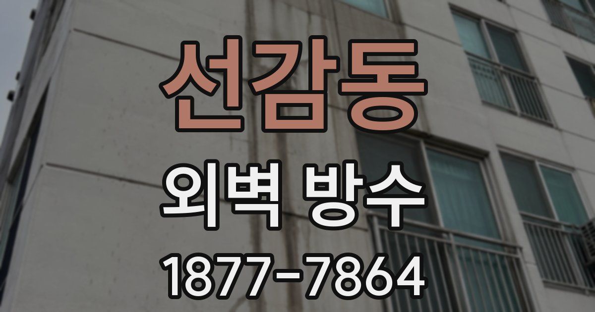 선감동 외벽 방수
