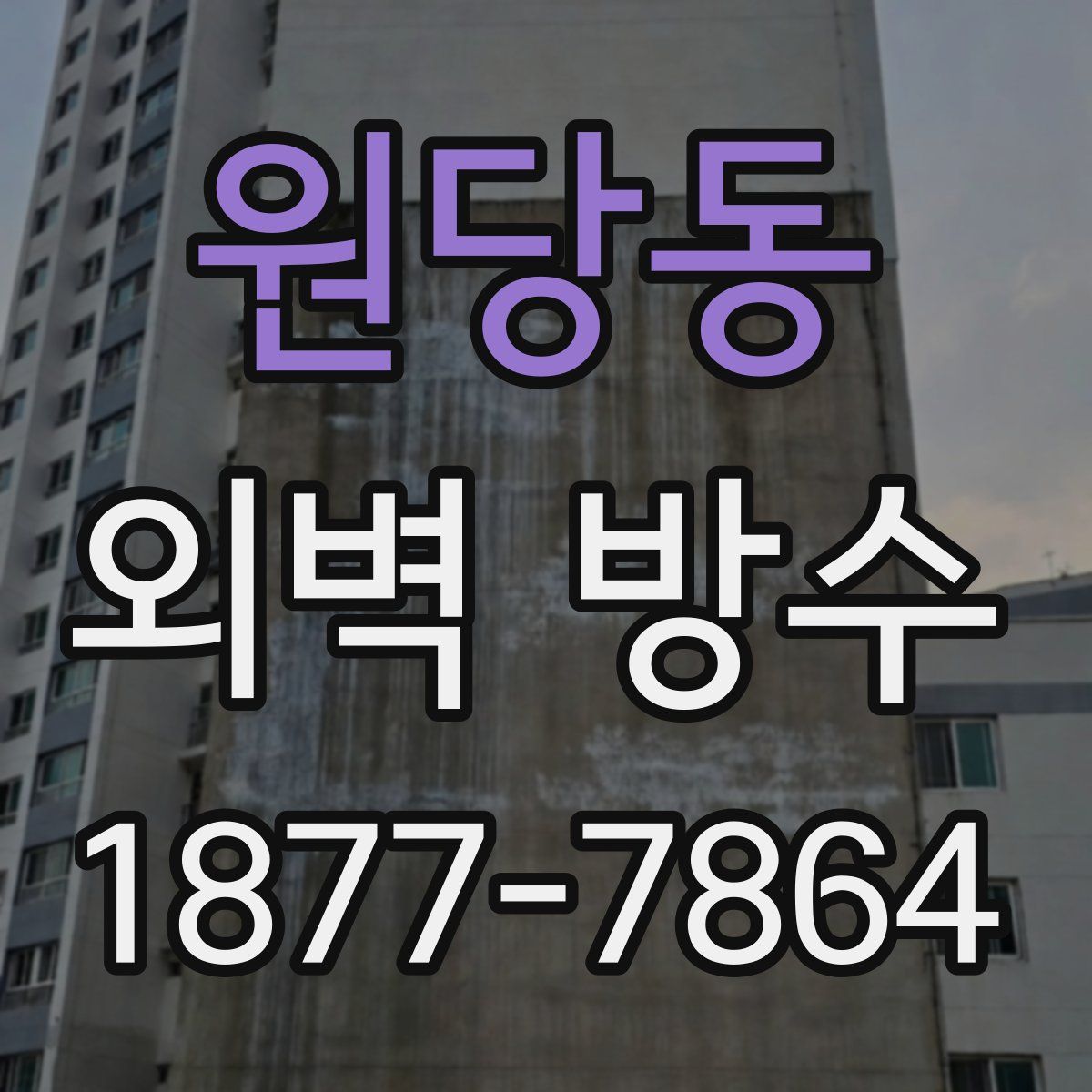 원당동 외벽 방수