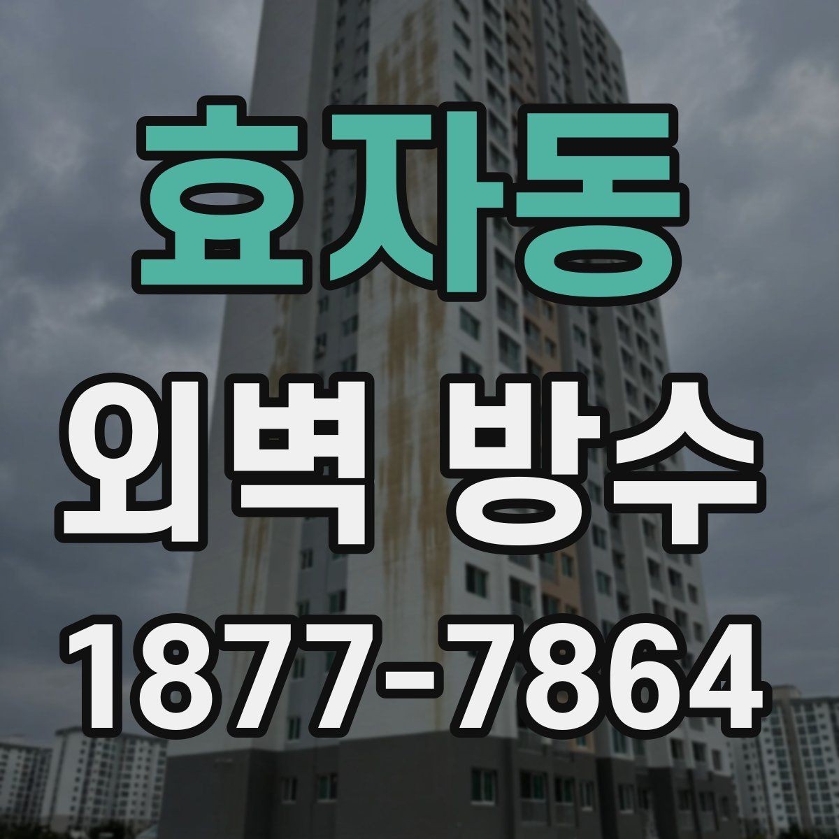 효자동 외벽 방수 방법별 차이와 선택 기준