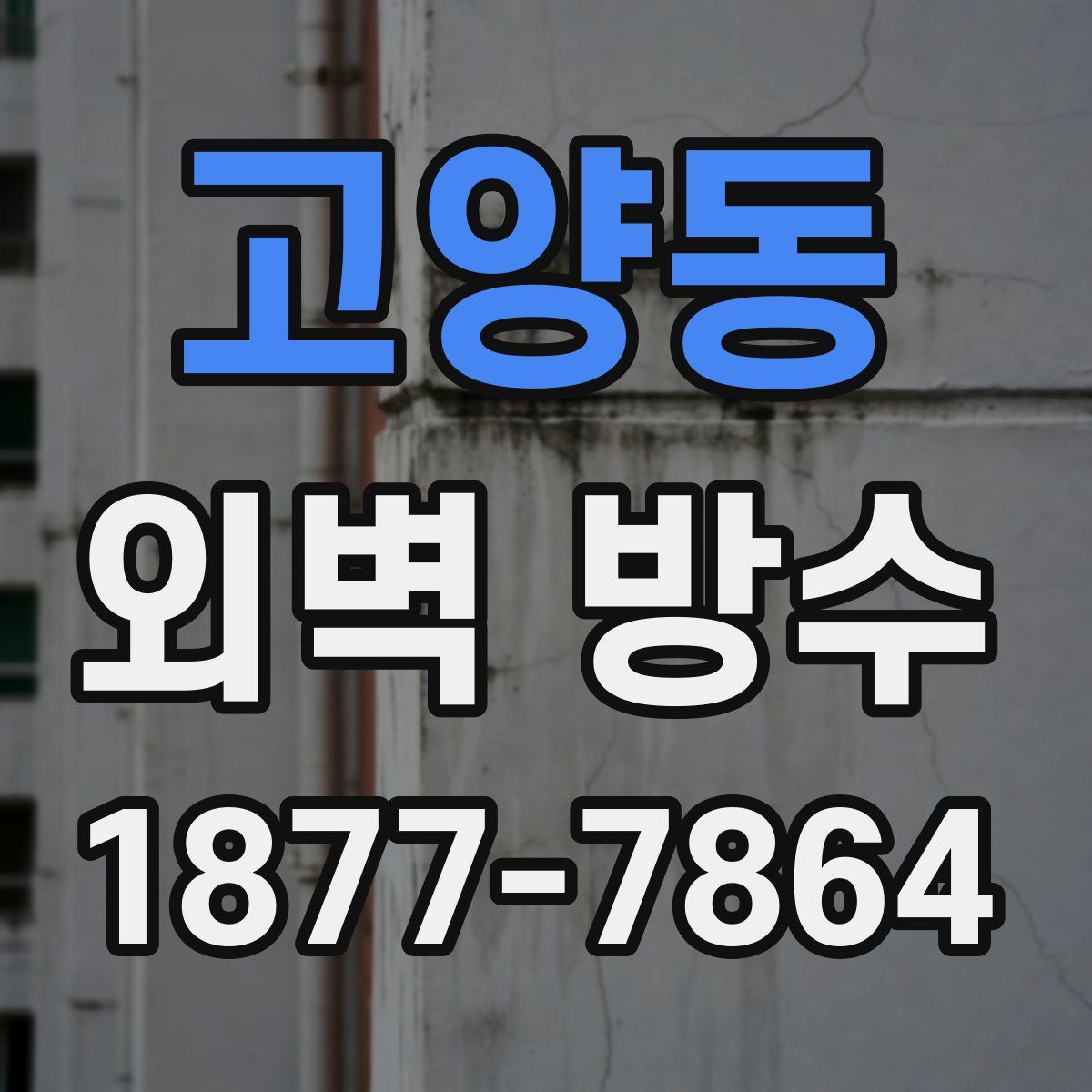 고양동 외벽 방수