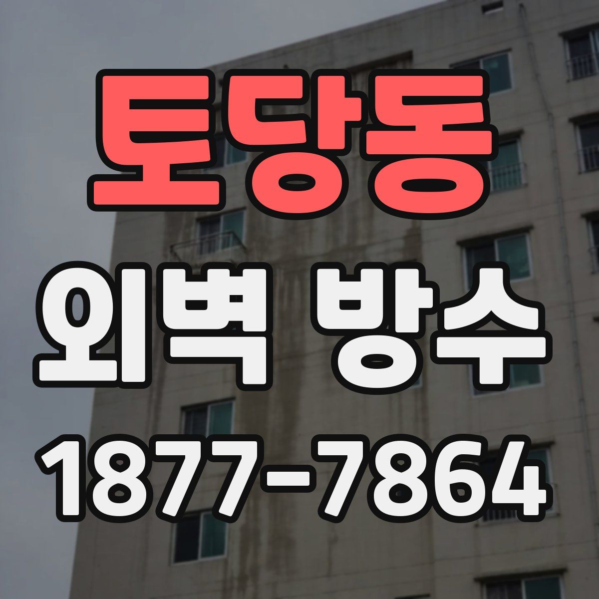 토당동 외벽 방수