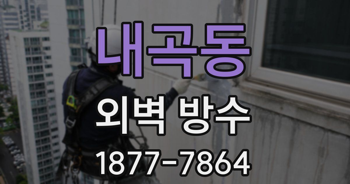 내곡동 외벽 방수