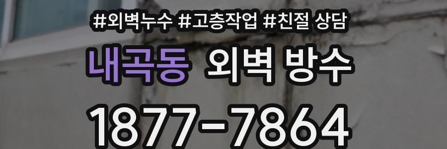 내곡동 외벽 방수