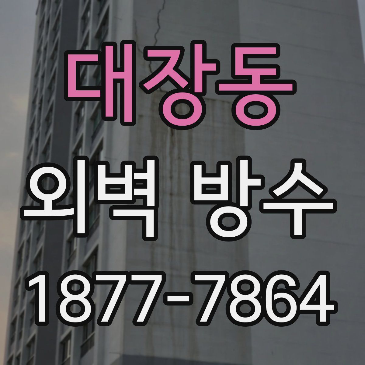 대장동 외벽 방수