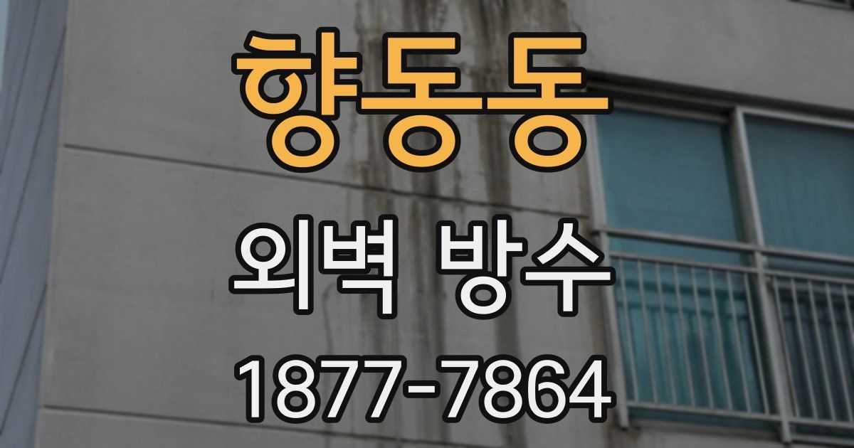 향동동 외벽 방수