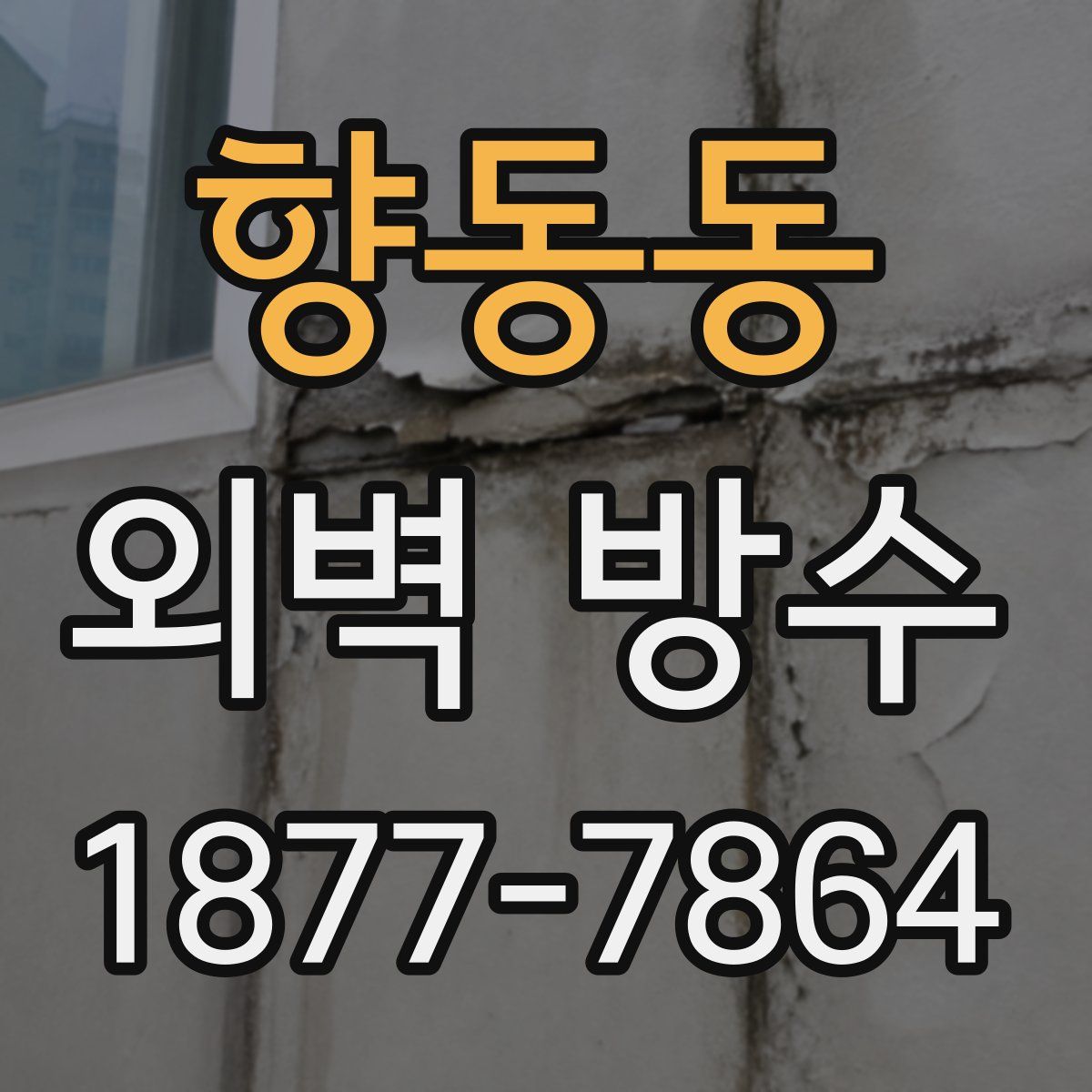 향동동 외벽 방수