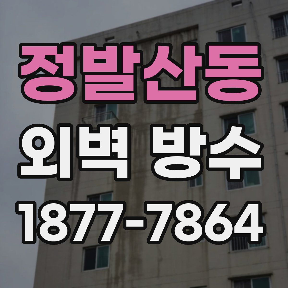 정발산동 외벽 방수