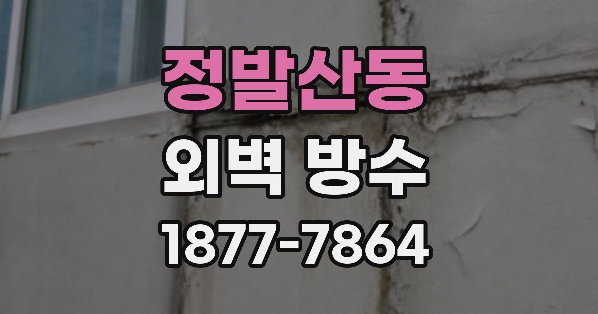 정발산동 외벽 방수