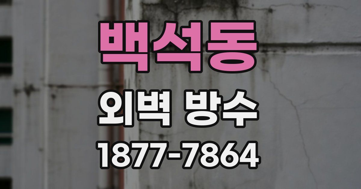 백석동 외벽 방수