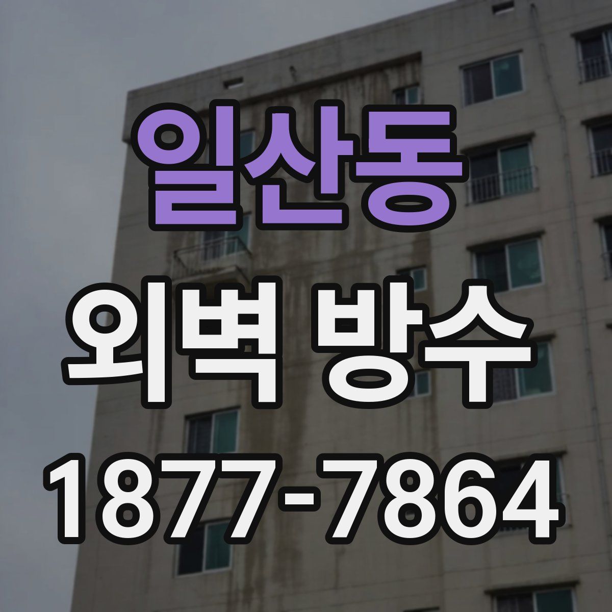 일산동 외벽 방수