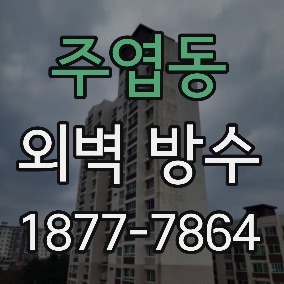 주엽동 외벽 방수