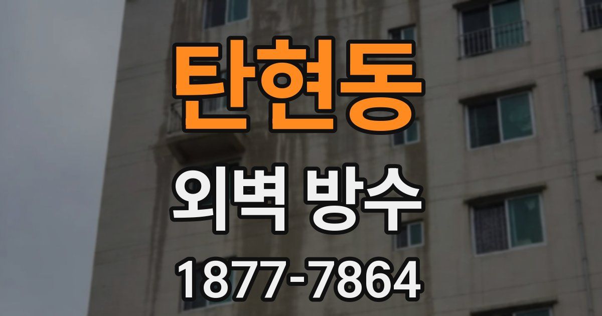 탄현동 외벽 방수