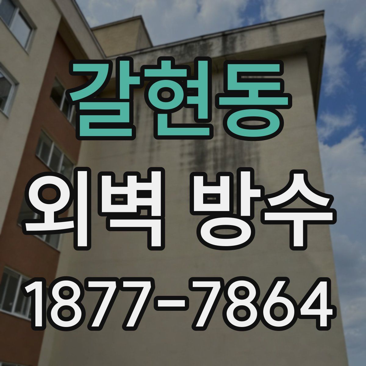 갈현동 외벽 방수