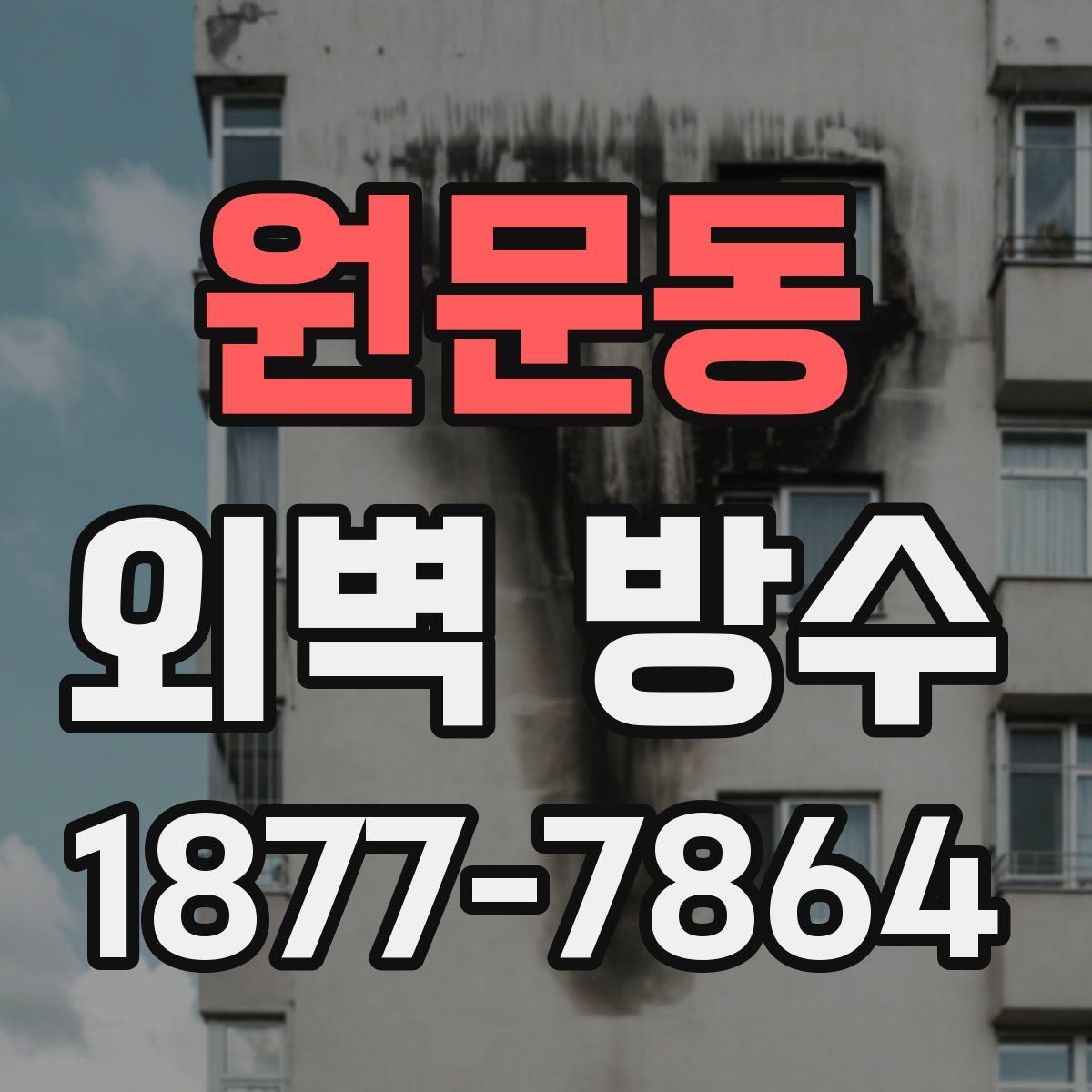 원문동 외벽 방수