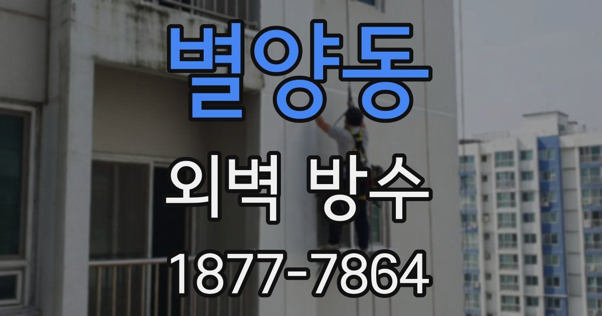 별양동 외벽 방수