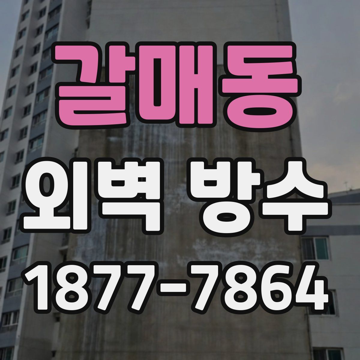갈매동 외벽 방수