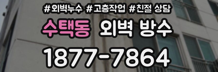 수택동 외벽 방수