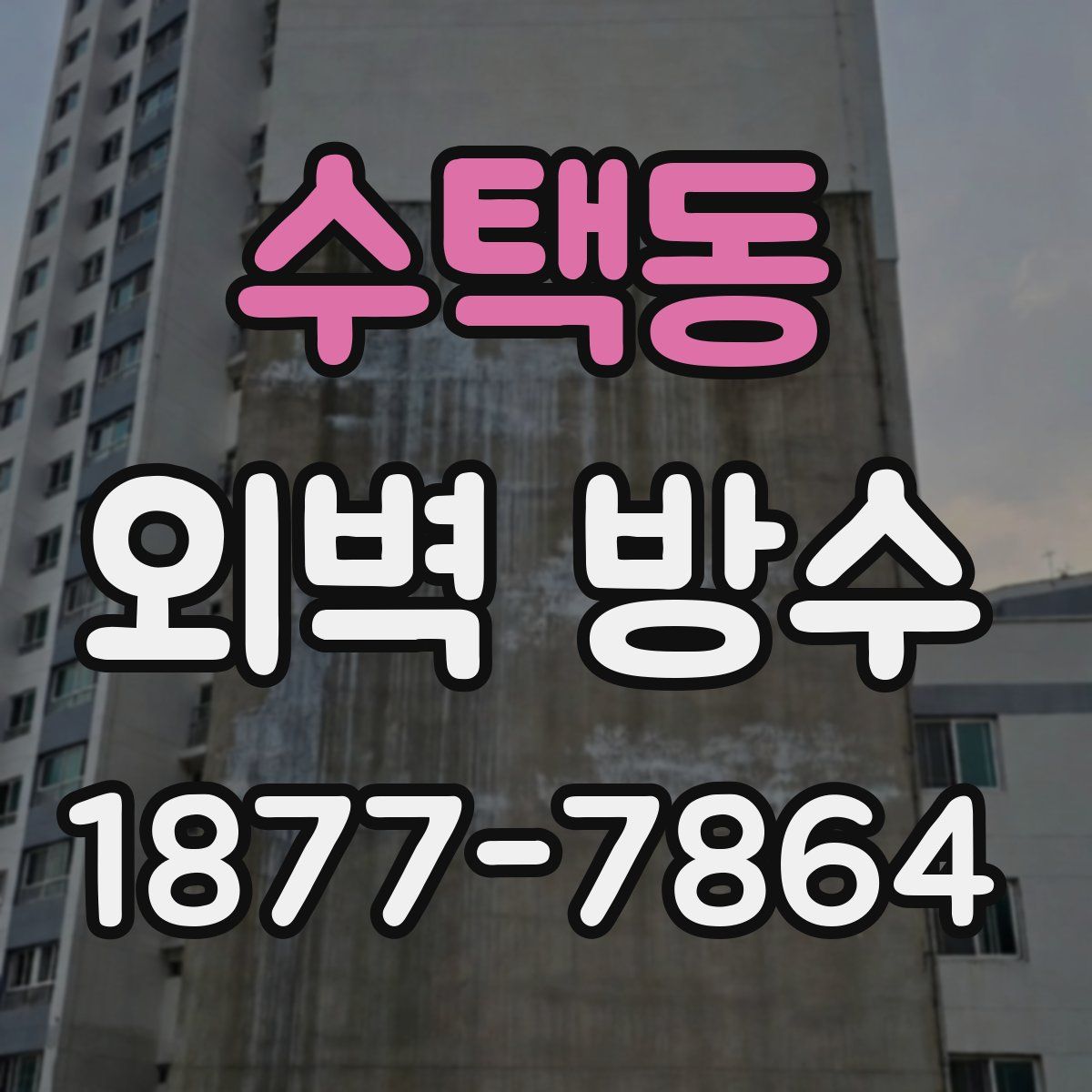 수택동 외벽 방수
