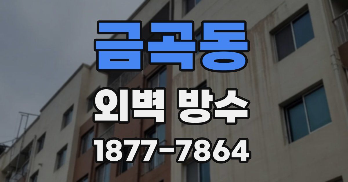 금곡동 외벽 방수