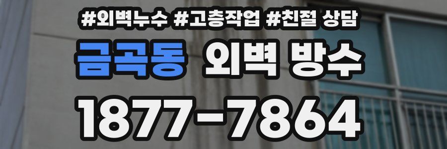 금곡동 외벽 방수
