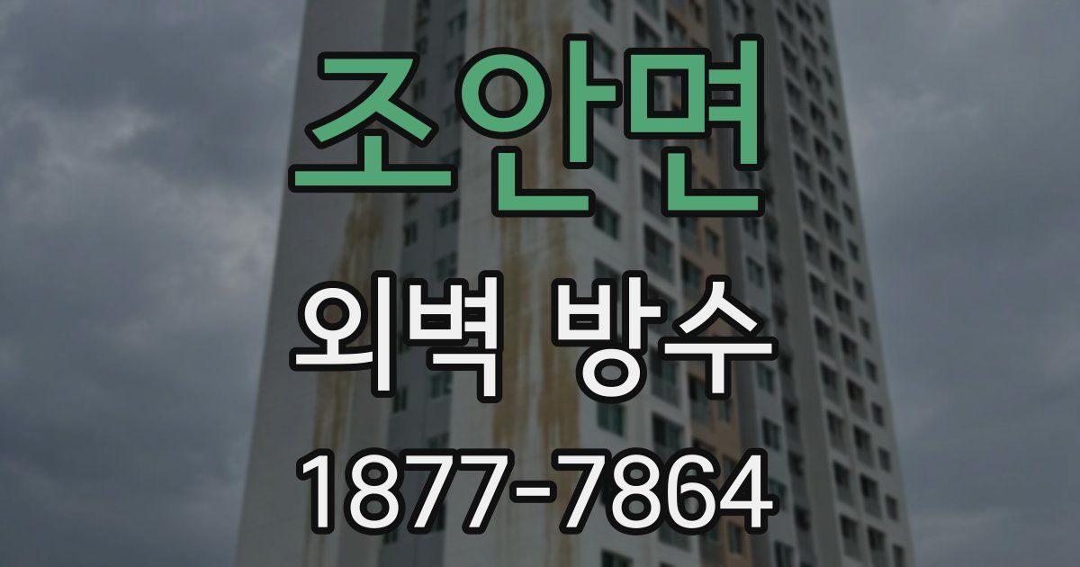 조안면 외벽 방수