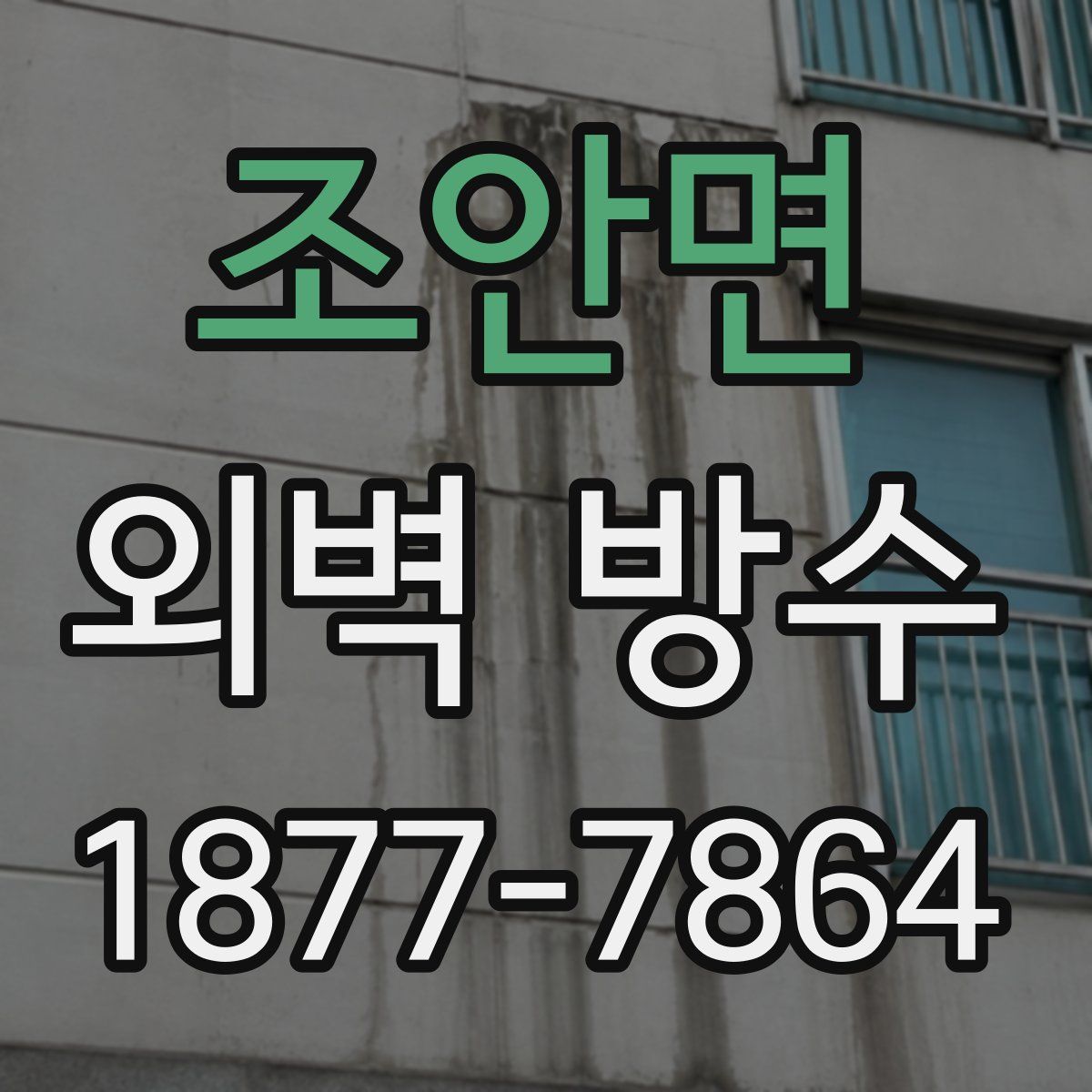 조안면 외벽 방수
