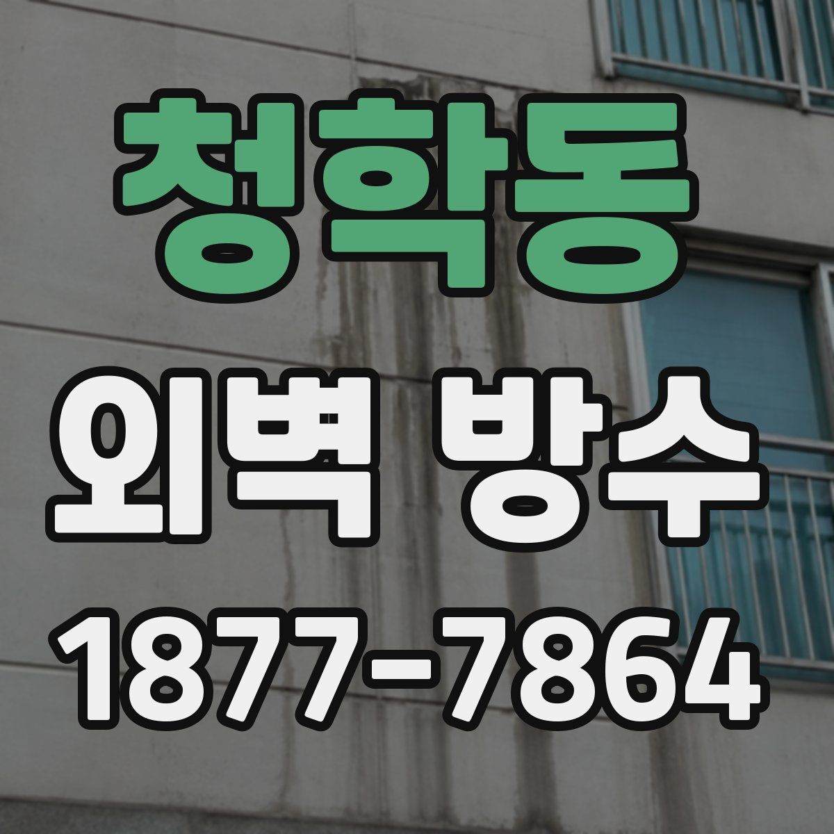 청학동 외벽 방수