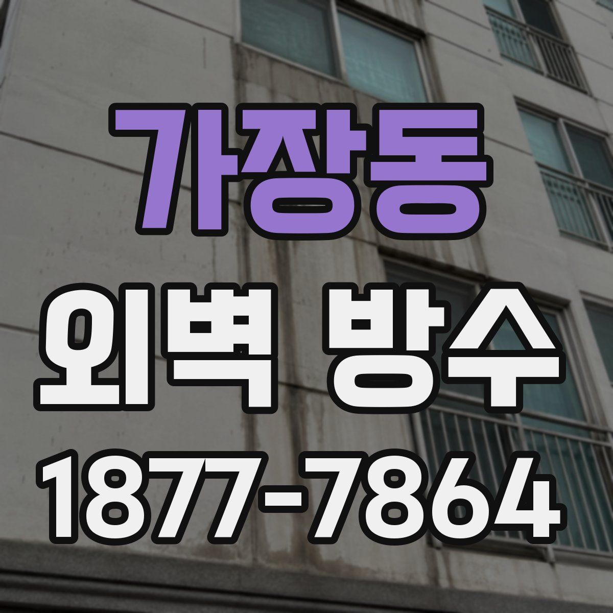 가장동 외벽 방수