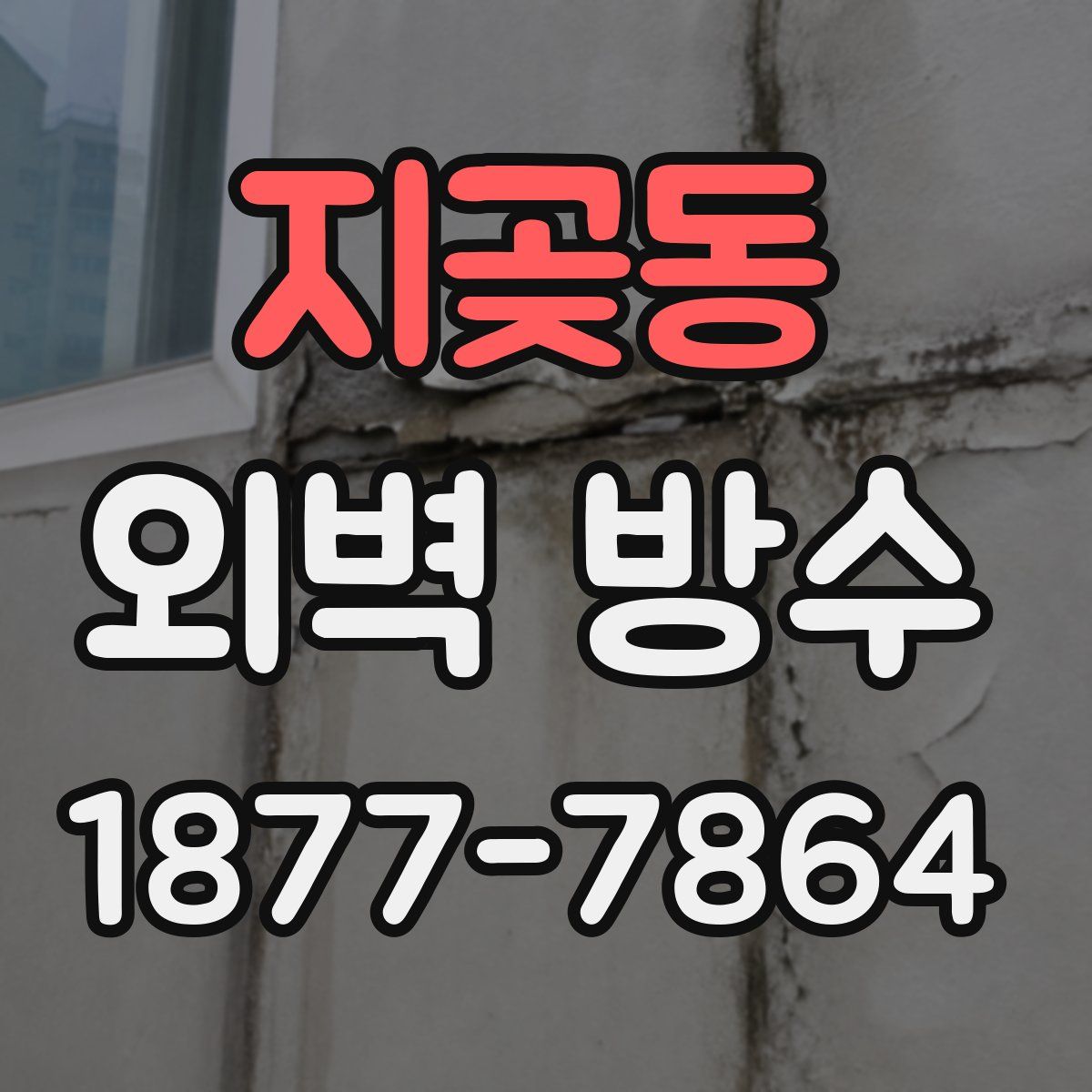 지곶동 외벽 방수