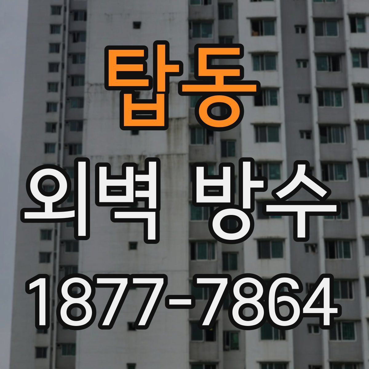 탑동 외벽 방수