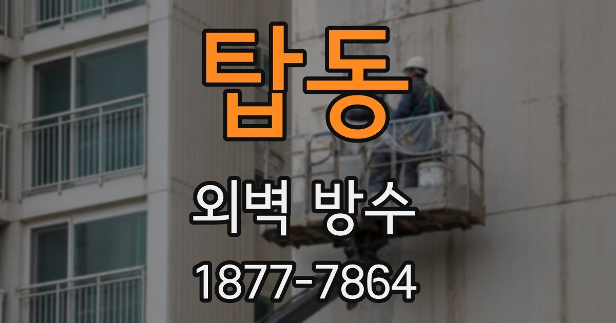 탑동 외벽 방수