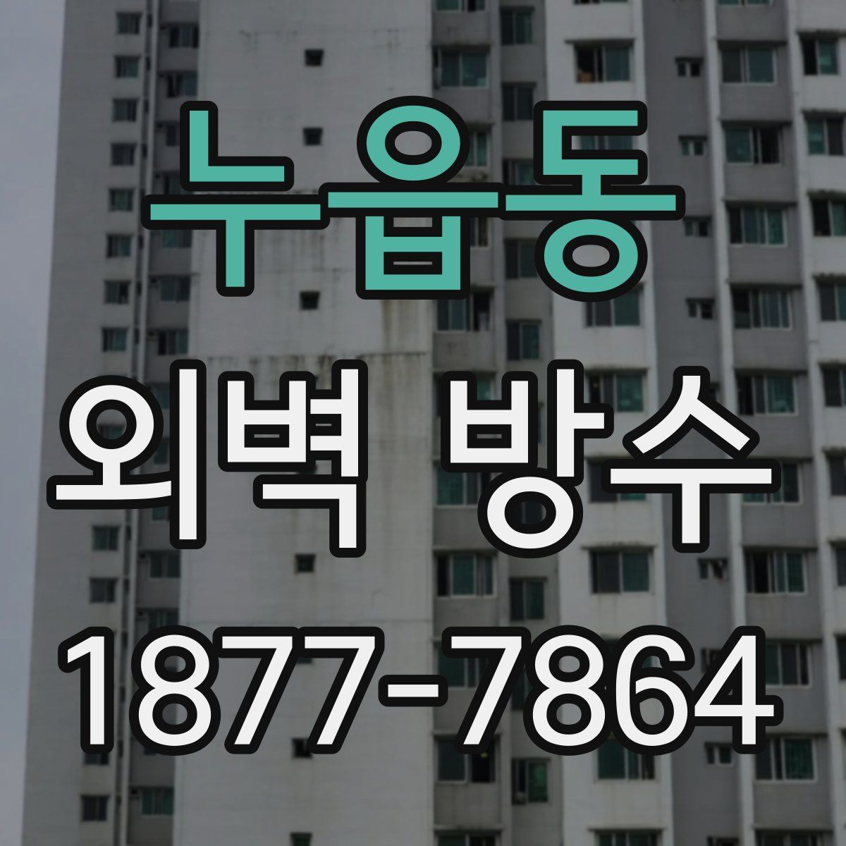 누읍동 외벽 방수