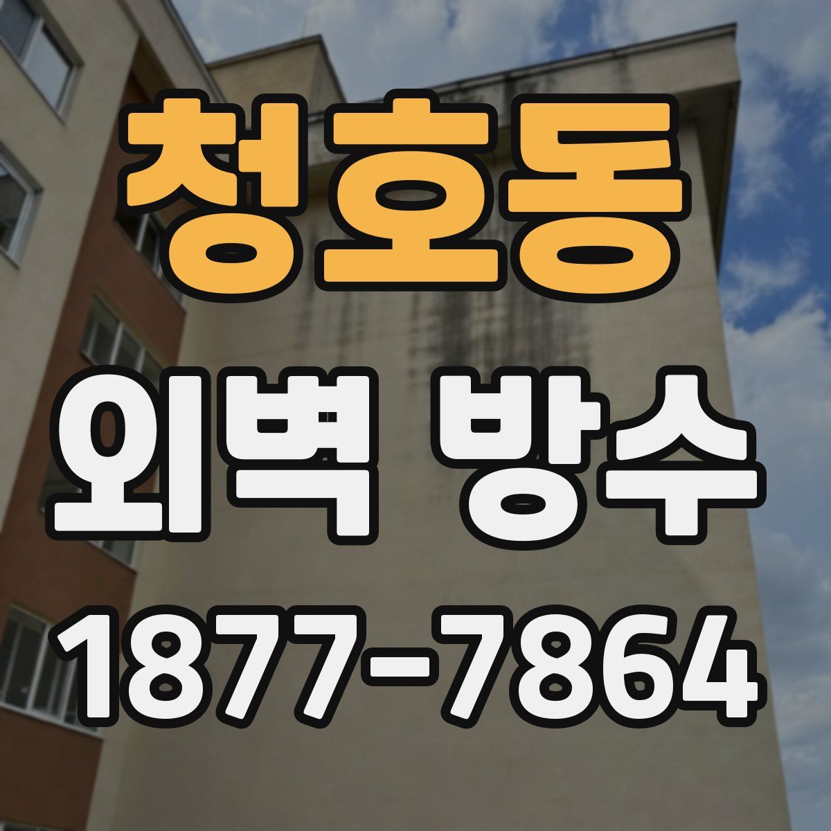 청호동 외벽 방수