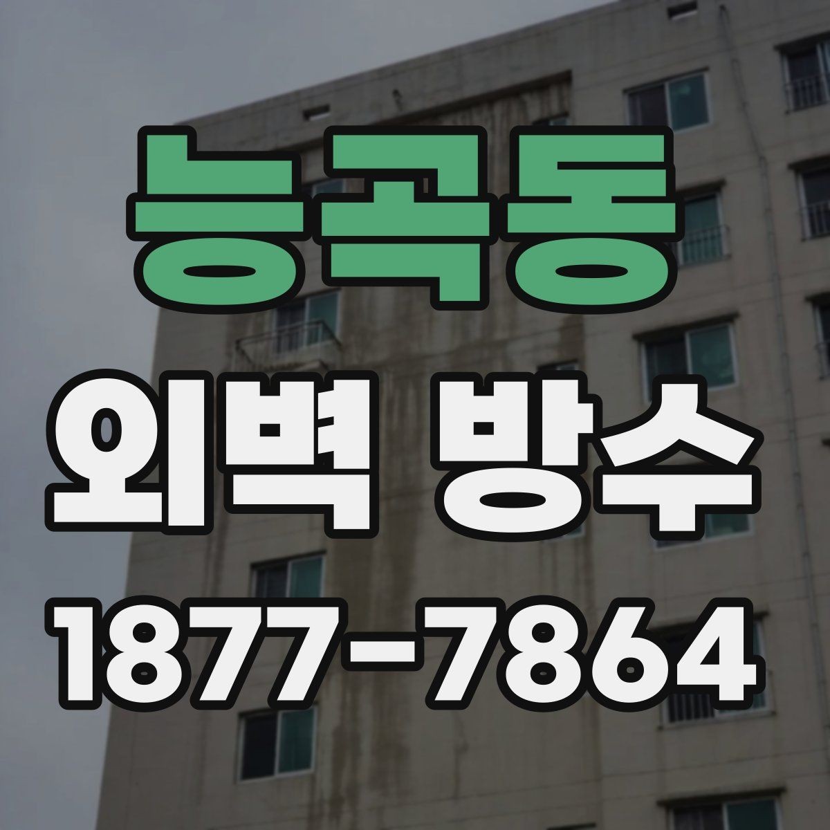 능곡동 외벽 방수 작업 중 비가 오면 어떻게 될까