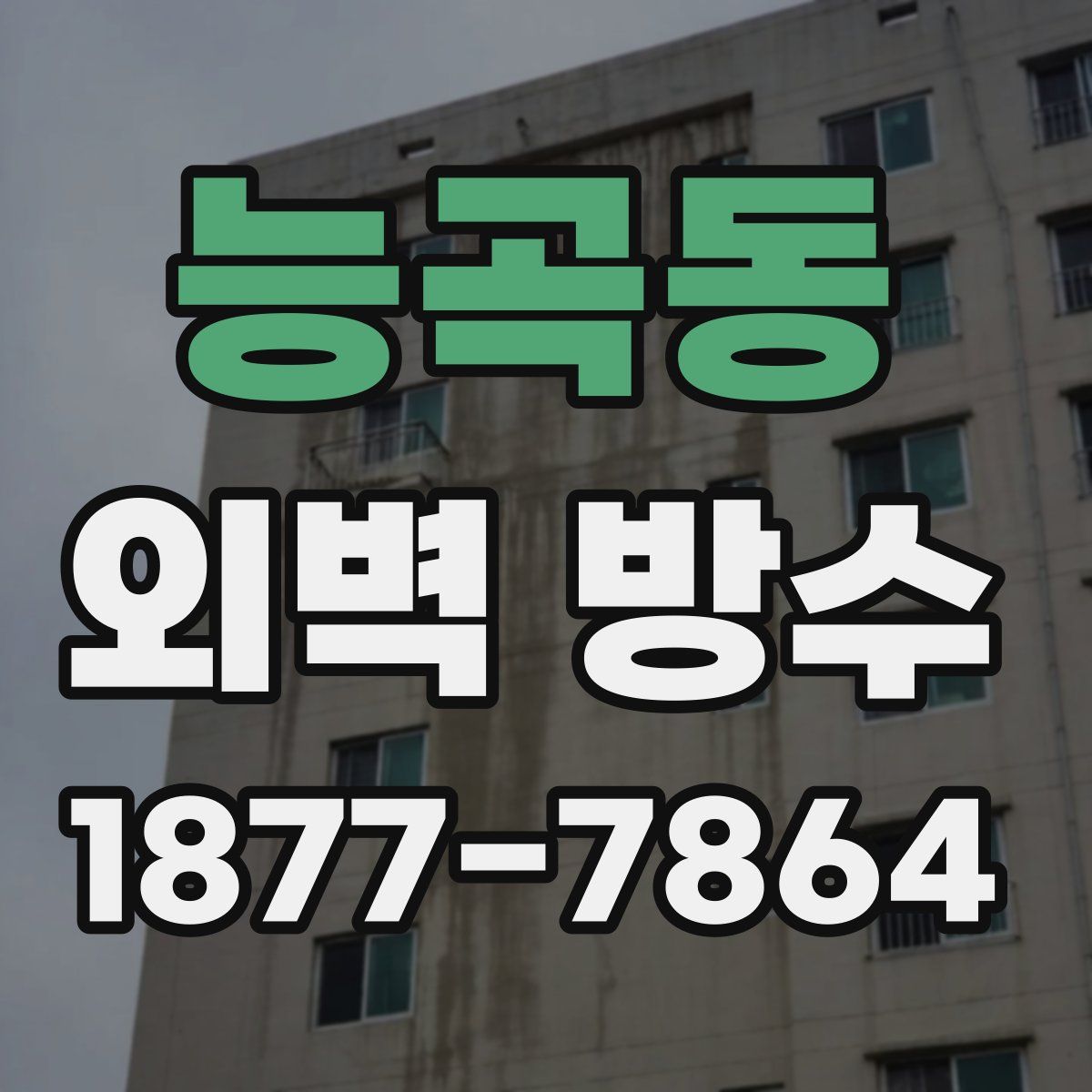 능곡동 외벽 방수