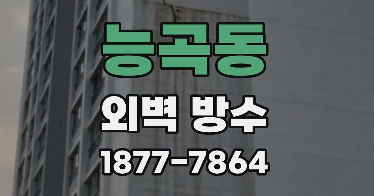능곡동 외벽 방수