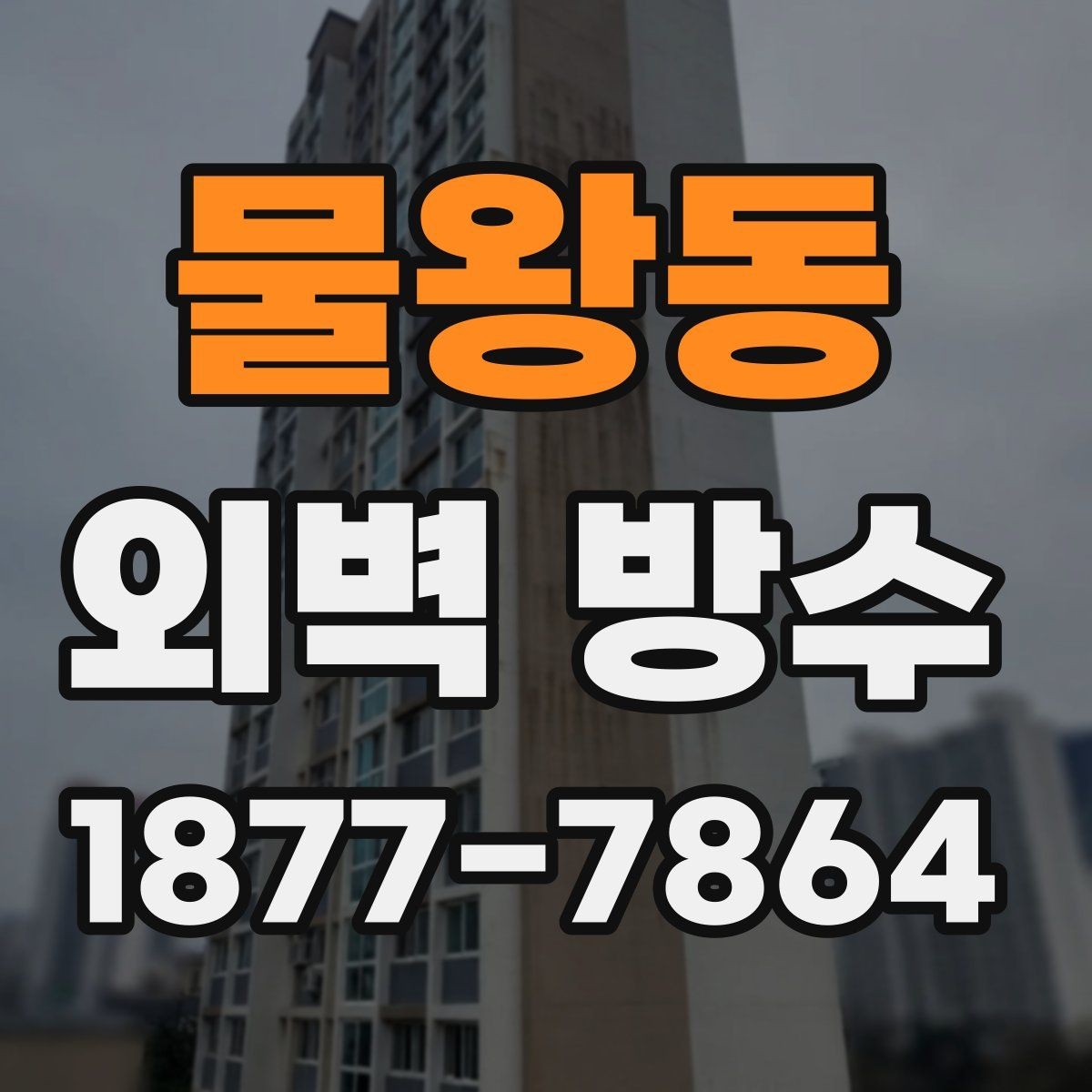 물왕동 외벽 방수 문제를 줄이는 사전 진단 방법