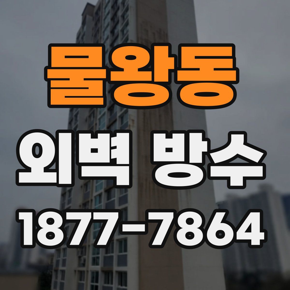 물왕동 외벽 방수