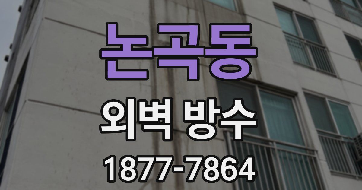 논곡동 외벽 방수