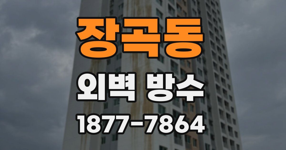 장곡동 외벽 방수