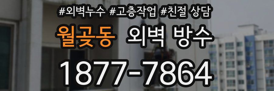 월곶동 외벽 방수