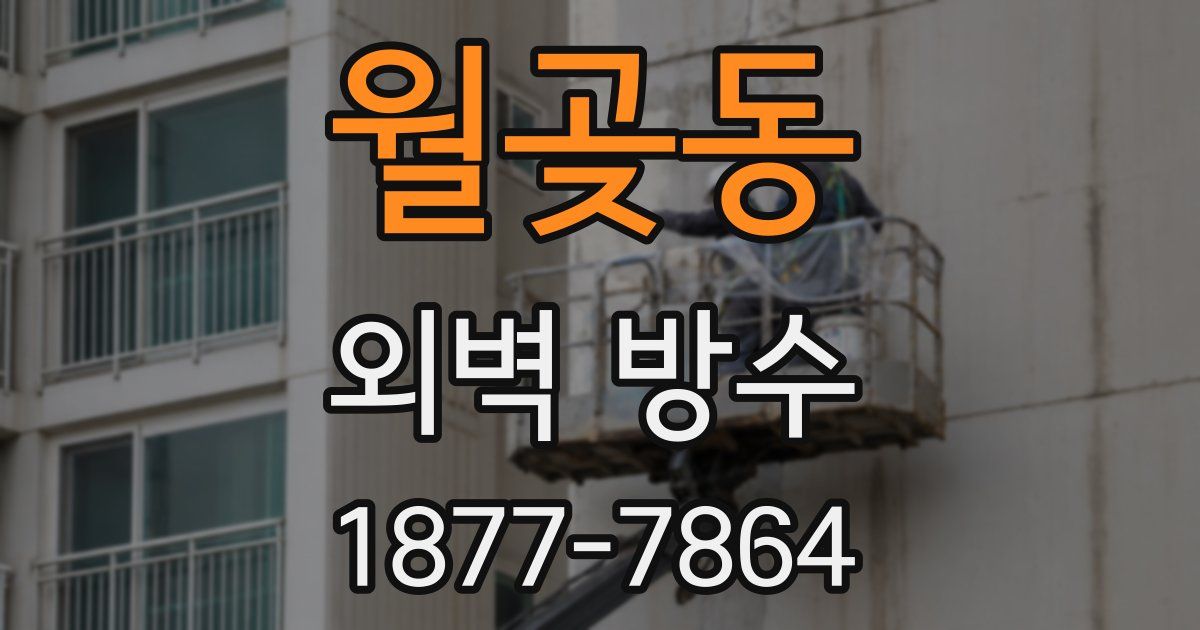월곶동 외벽 방수