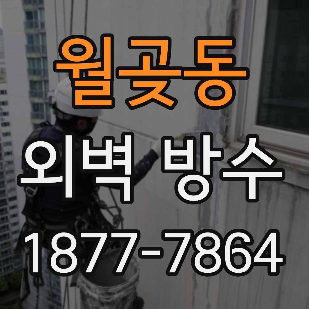 월곶동 외벽 방수