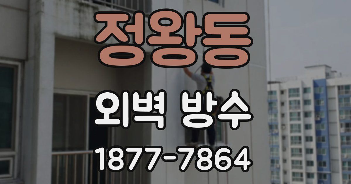 정왕동 외벽 방수